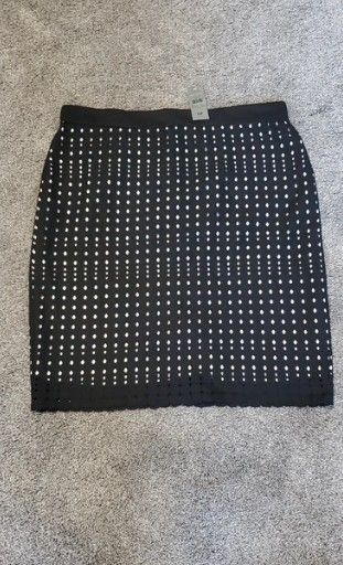 Ann Taylor skirt