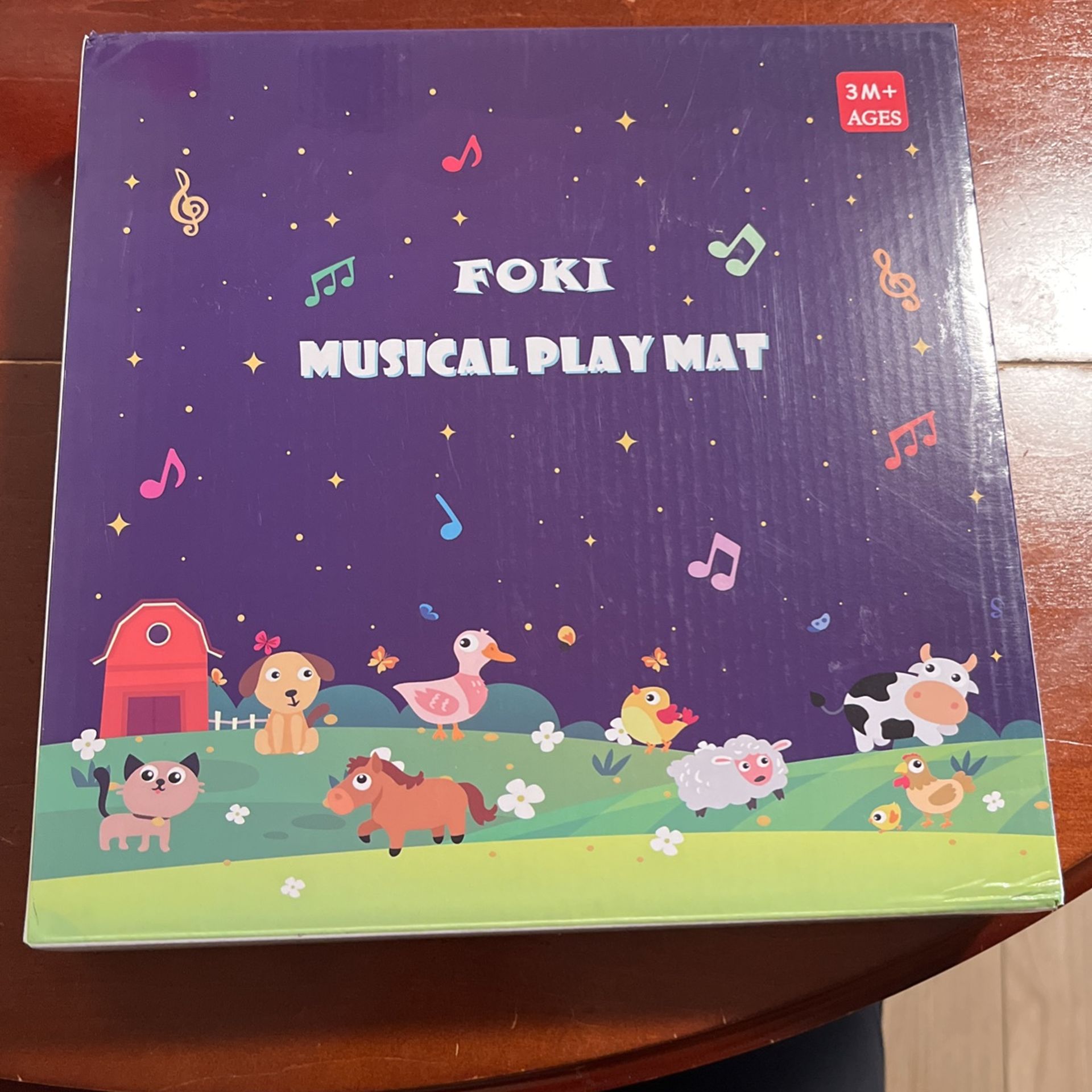 Musical Play mat