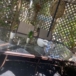 Dining room/outdoor 6pcs Table 