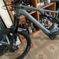 Specialized E Bike 