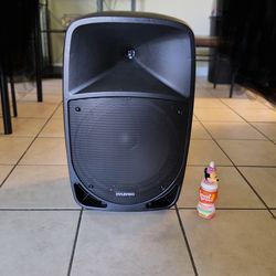 12in sub  portable bluetooth speaker