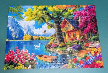 Amazon Ordered Jigsaw Puzzle 🧩