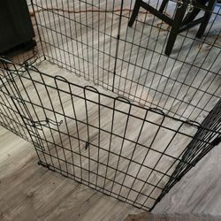 Dog Fence