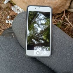 iPhone 8 (Locked) Brand New 