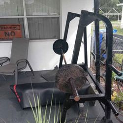 Squat Rack And Weights 