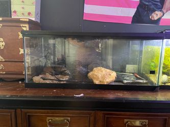 30 gallon long reptile enclosure