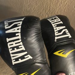 Everlast Boxing Gloves 