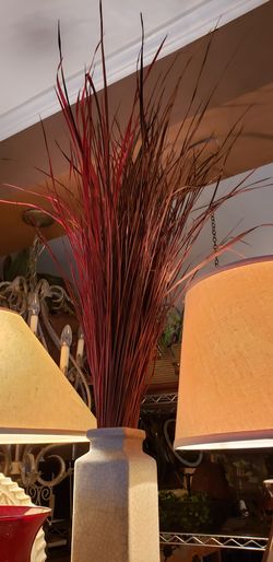 Tall Decorative vase filler..