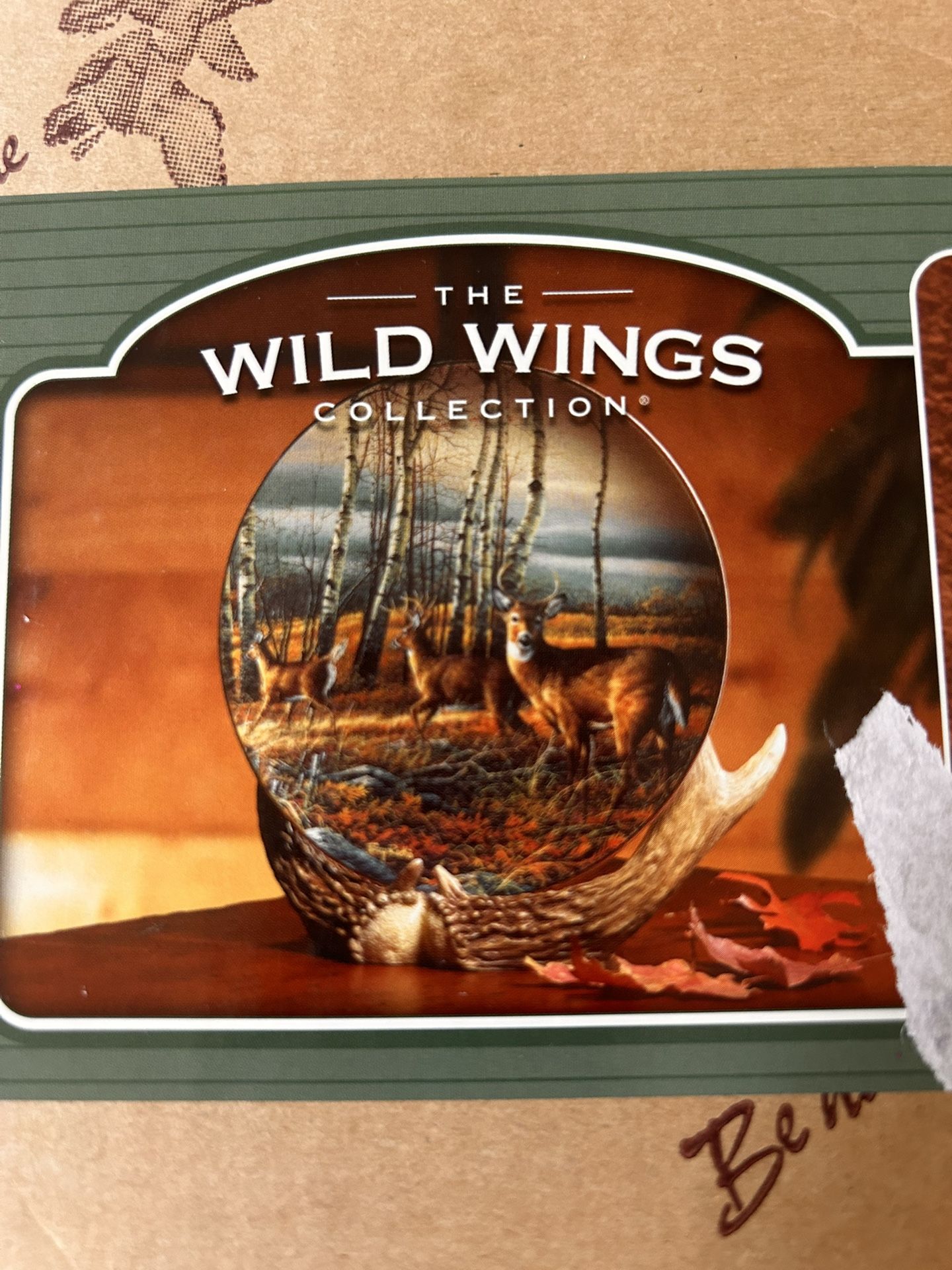 Wild Wings Antler Plate Holder