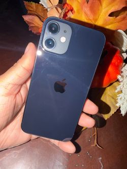 12 mini