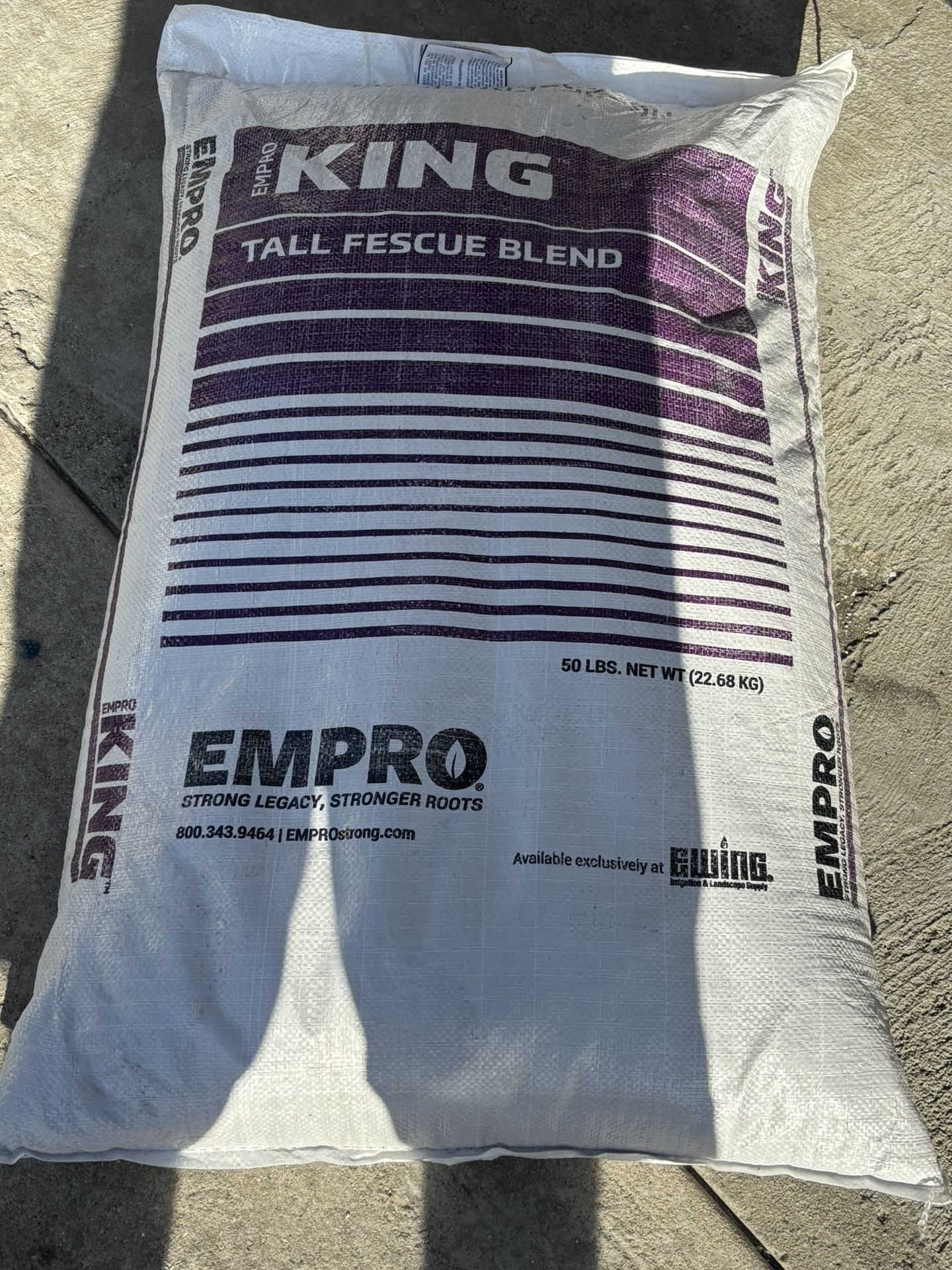 Tall Fescue Grass Seed