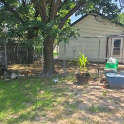 Dog Kennel Fence