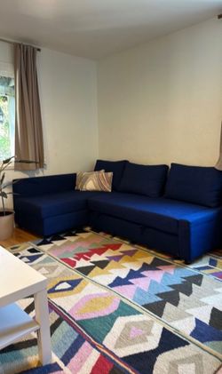 Pull Out Sofa