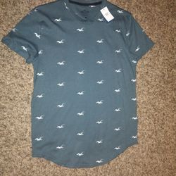 Hollister T Shirt Small 