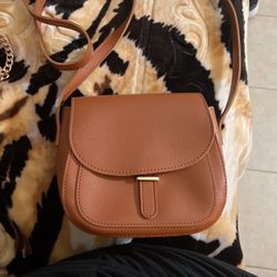 Brown Purse
