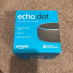 Echo Dot 
