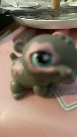 Littlest play shop “625 little gray hamster flier on eye