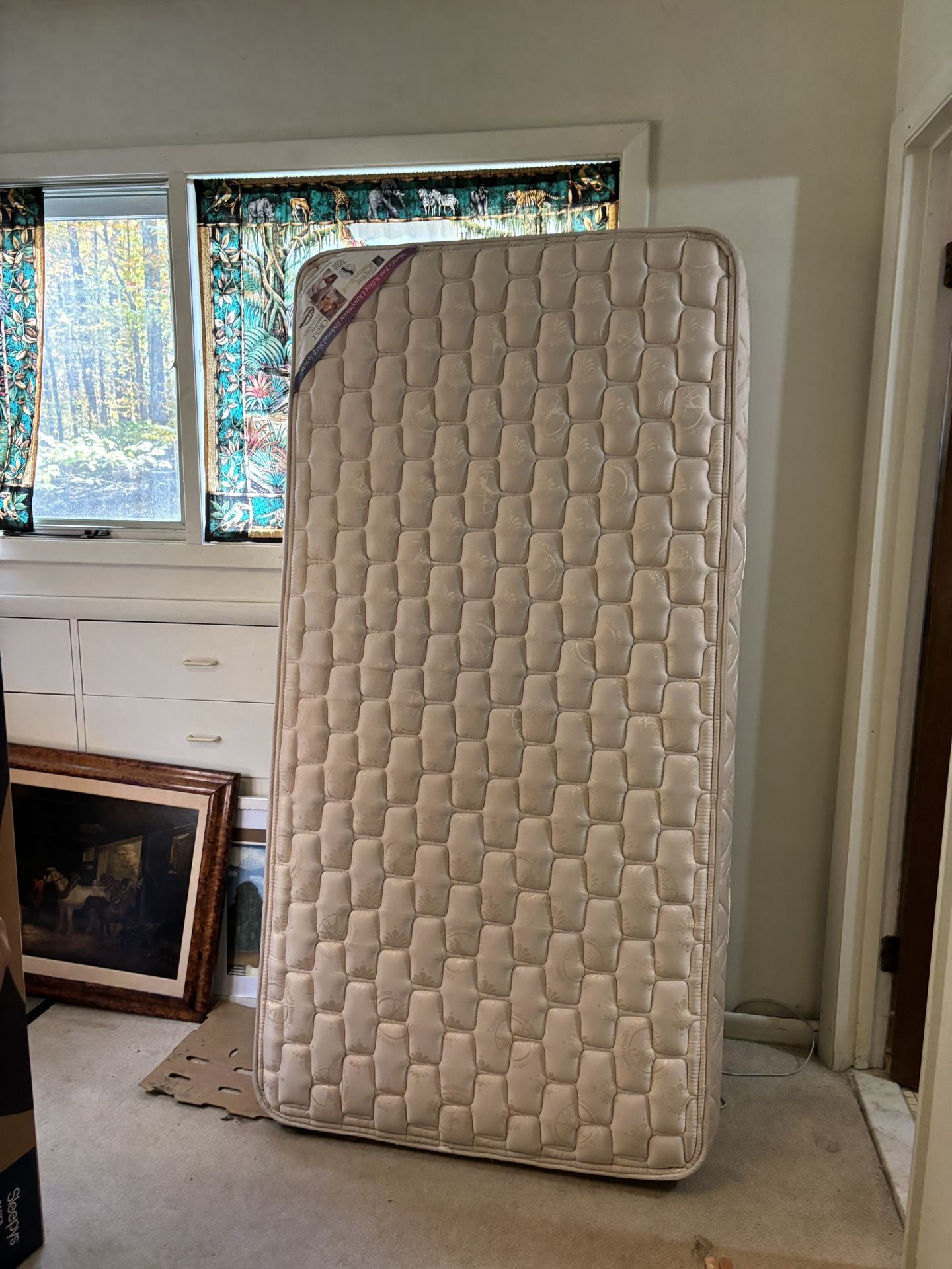 FREE Twin Mattress And Box Spring