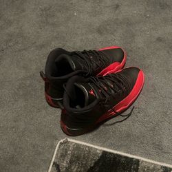 Air Jordan 12 Flu Game 