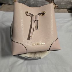 Michael Kors Pink Crossbody Bag