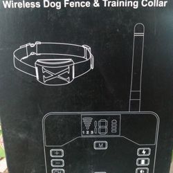 Dog Training Collar 