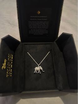 Disney treasure necklace from the lion king.