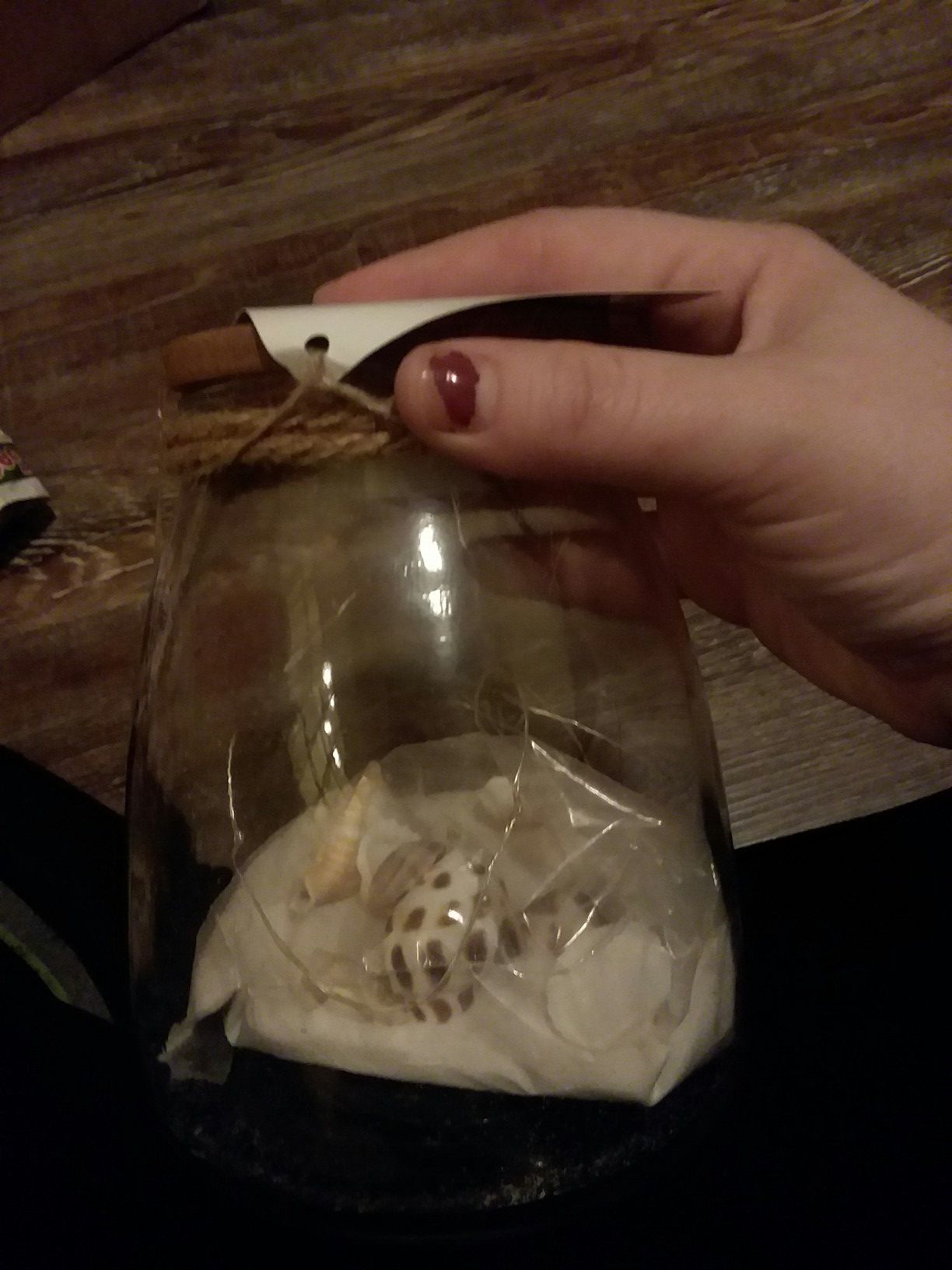 Brand new beachy themed pre lit jar decor