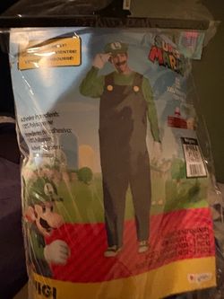 Luigi costume