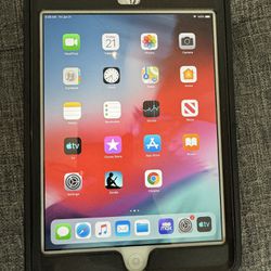 iPad mini 2, 16 Gb With Case 