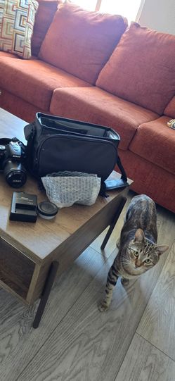 Nikon D3500 DSLR