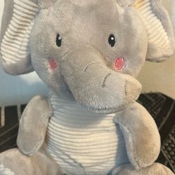 Baby Elephant 
