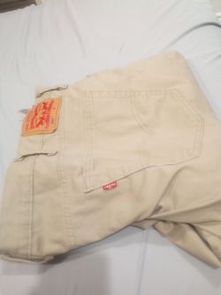 Dressed pants