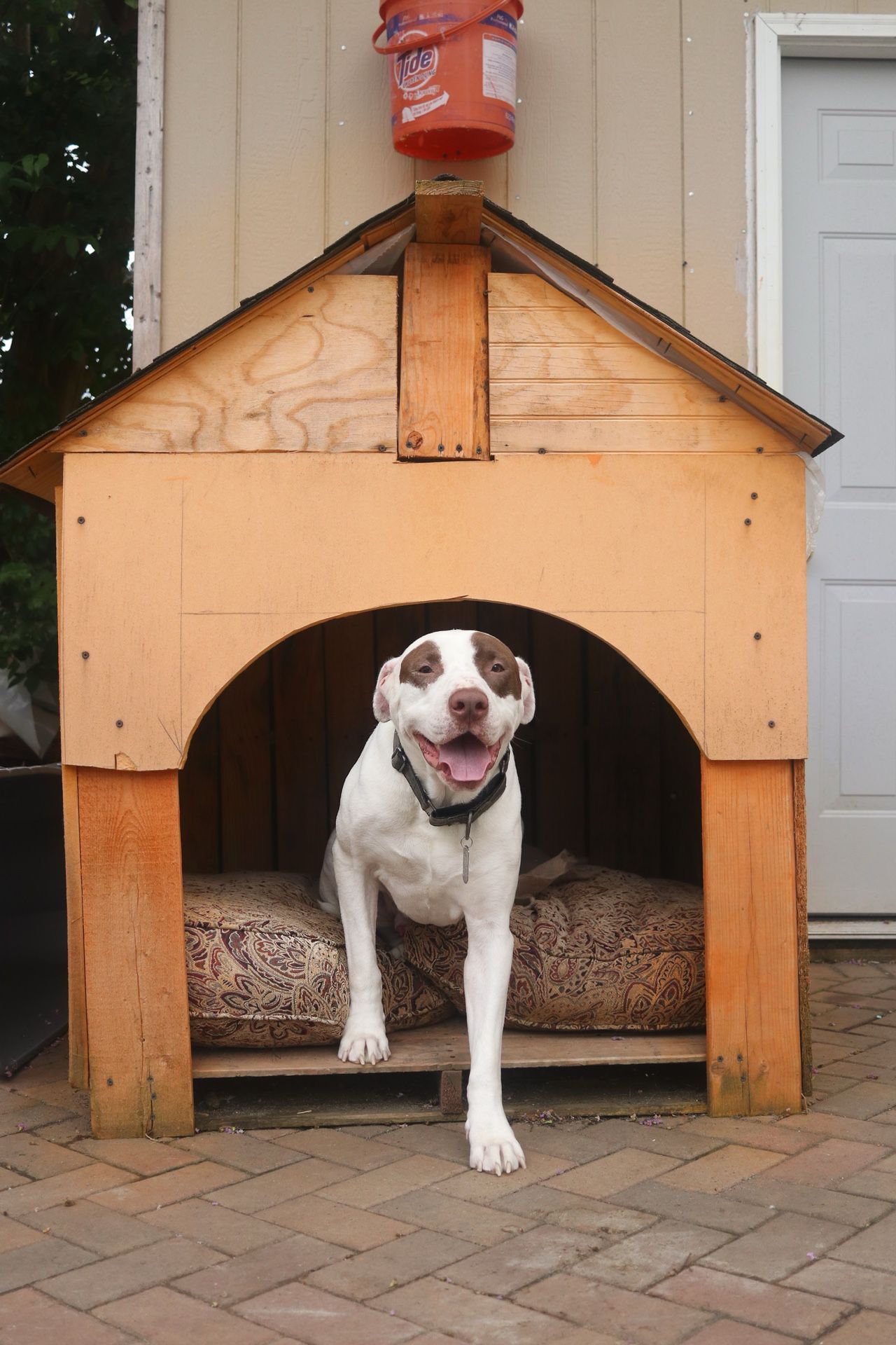 Wood Dog House - Dog Not Included