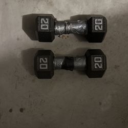 20 Pound Dumbbells