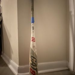 Marucci Cat 8 Drop  -5  31 Inches 