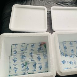 3 Large Foam Coolers With 18 Reusable Ice Packs