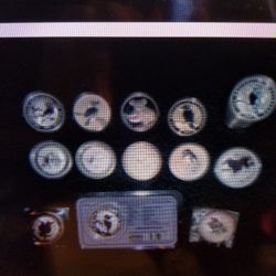 Australian Kookaburra