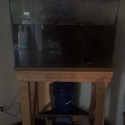60 Gallon Fish Tank, Stand,  Filter, and Light, Fish (2 Clowns and Angel) -Moving Need Gone ASAP 