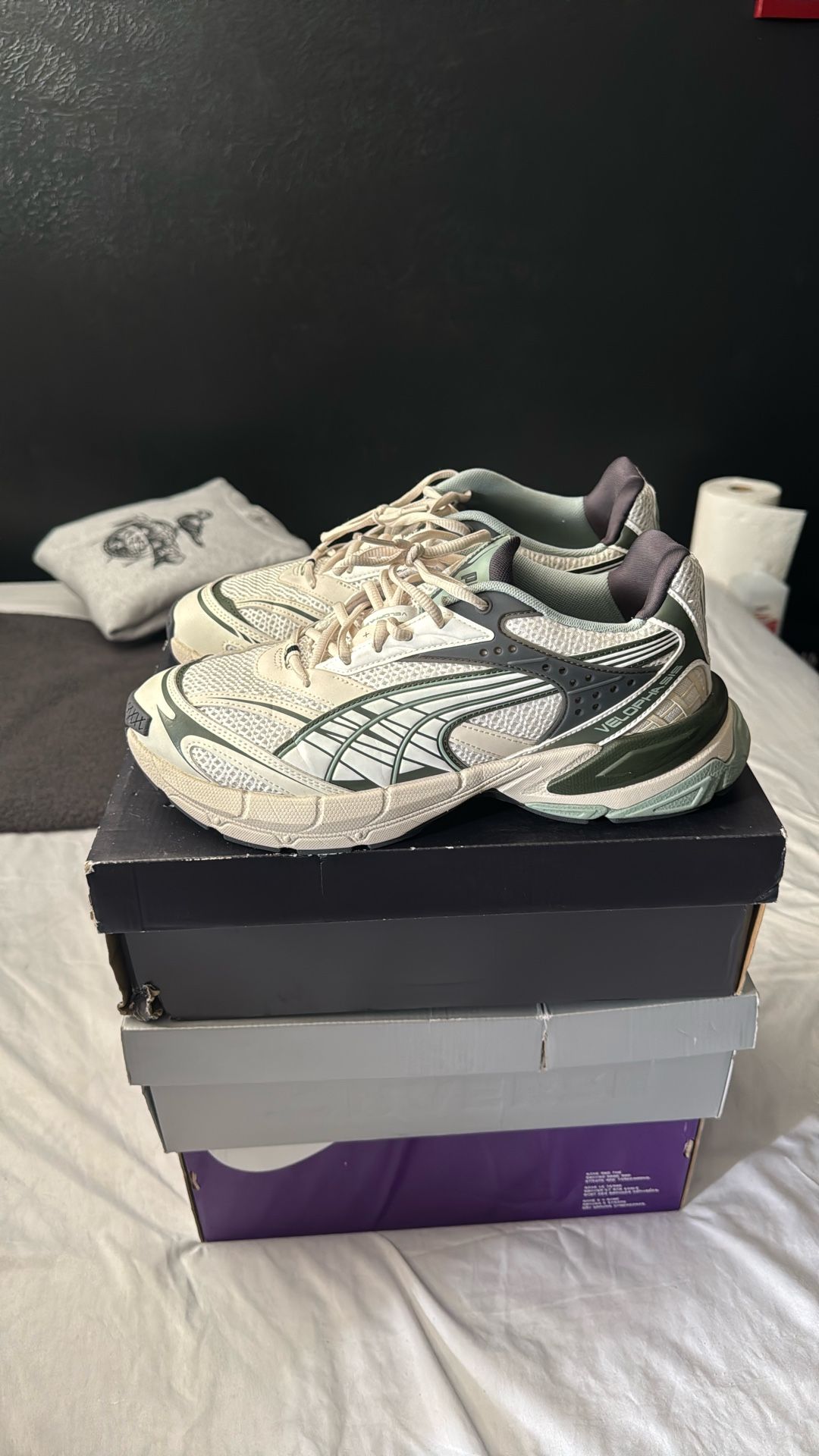 Pumas