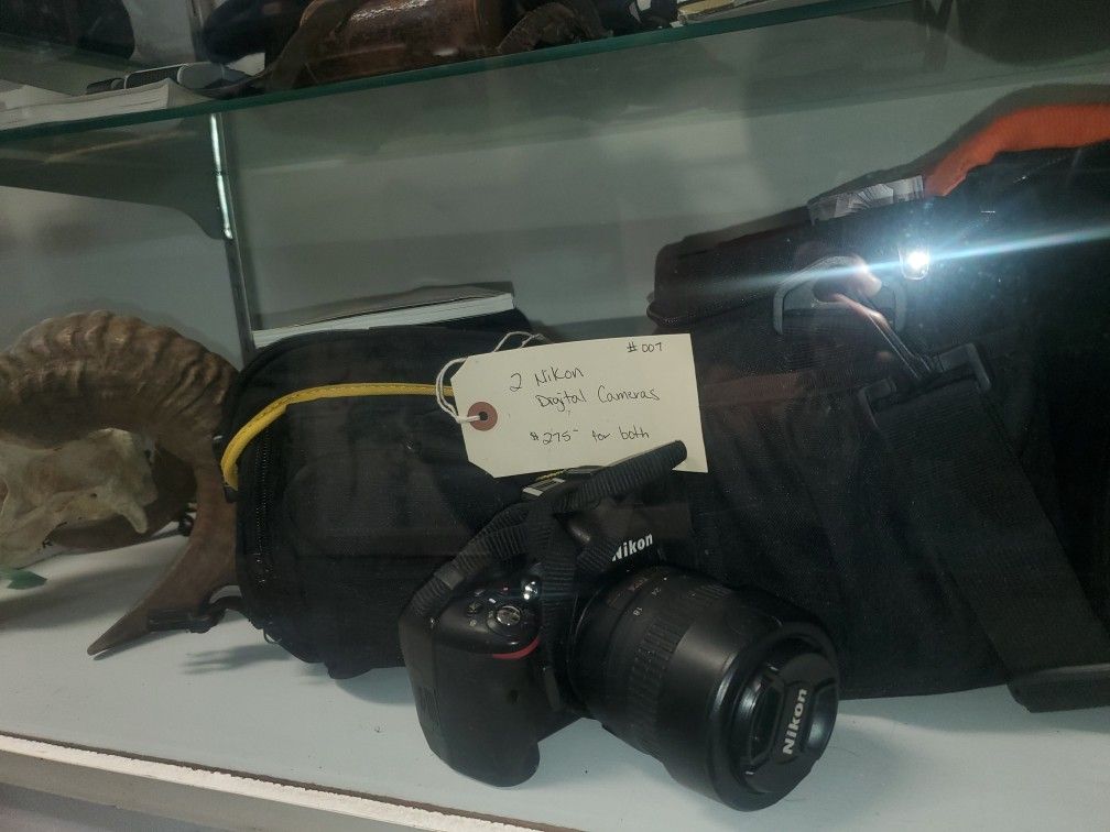 Nikon D50 and Nikon D5100