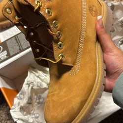 brand new men’s timbs size 8 