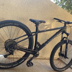 Trek Bike For The Low