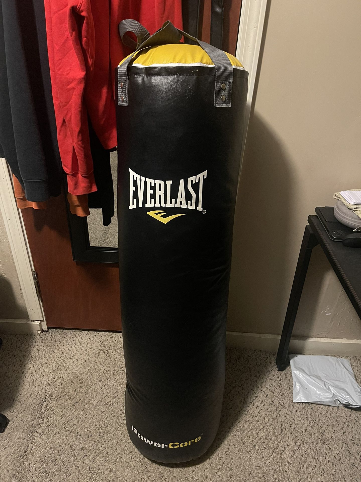 Everlast Punching Bag 100Lb