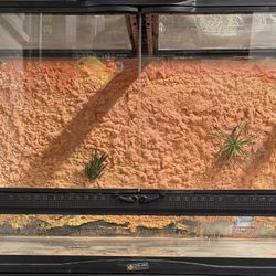 Zoo Med Reptile Tank 