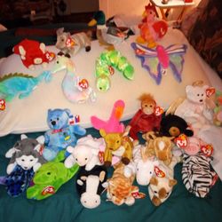 Collection Of Rare Beanie Babies