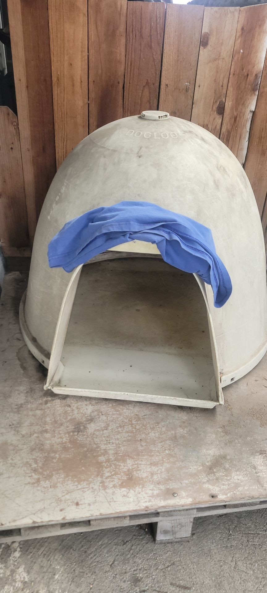 Dog House