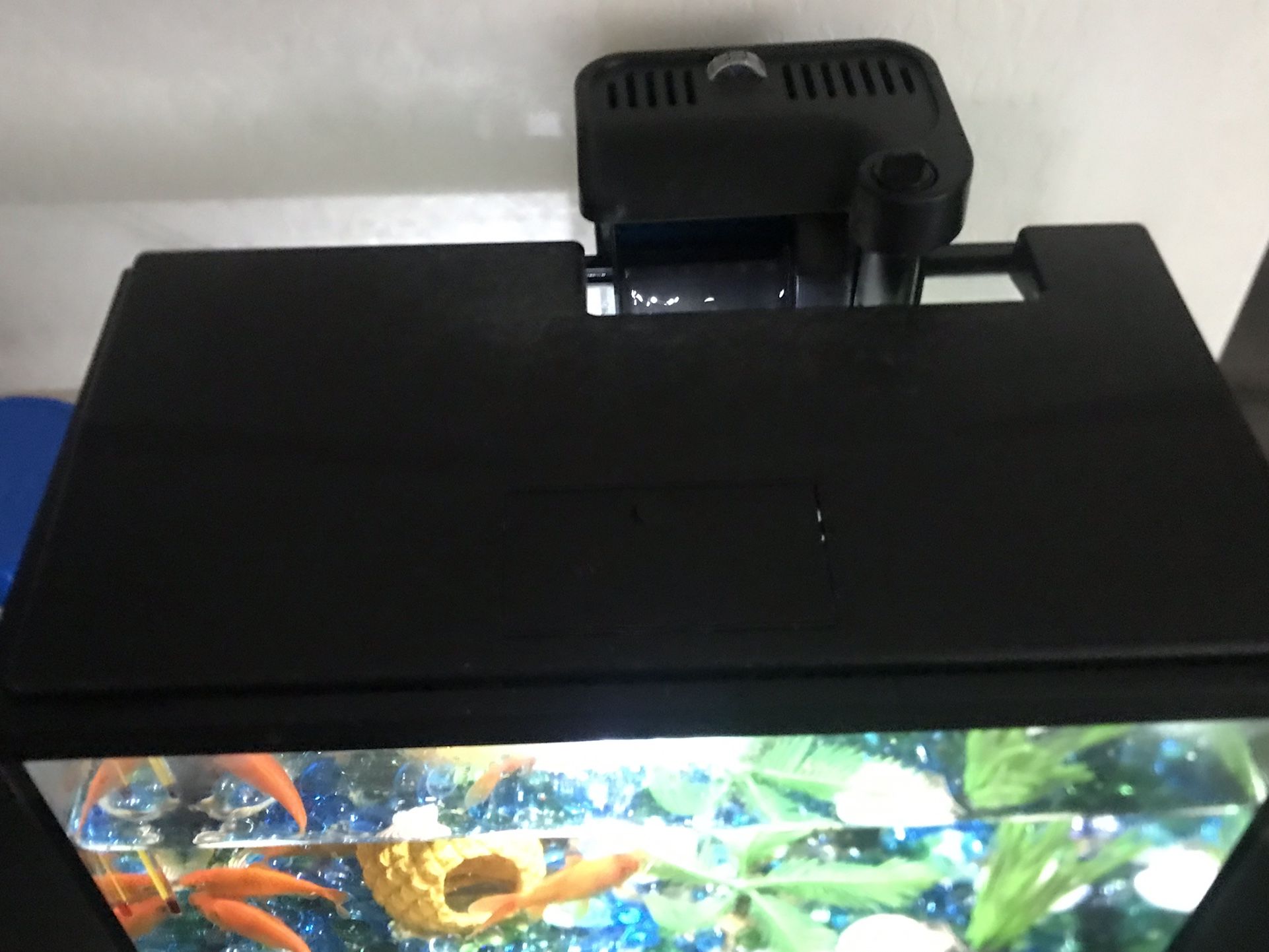 Fish Tank