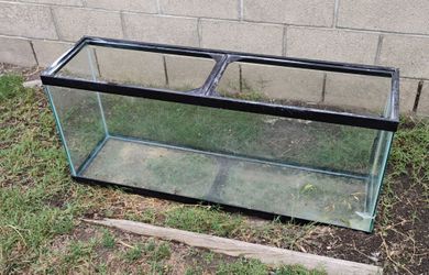 50 Gallon Tank with Stand, and More