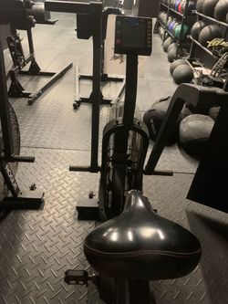 Rogue Echo bike