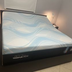 King Queen Size Tempurpedic ProAdapt,  ProBreeze,  LuxeBreeze Mattress  Pro Breeze /Luxe Adapt /Pro Adapt /Adapt /cloud /Tempur pedic contour Supreme 